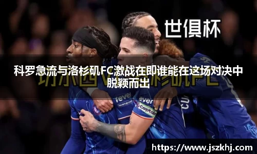 xk体育官网
